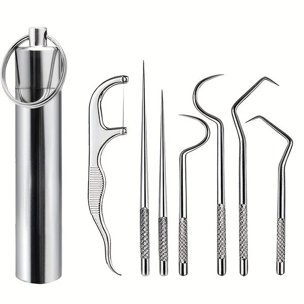 Portable Stainless Steel Toothpick Set with Organizer Tube