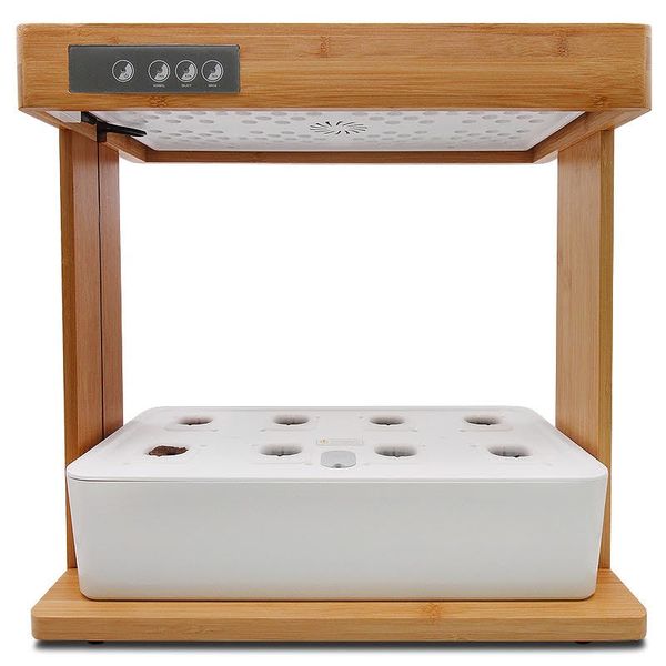 Hydroponic Indoor Smart Garden