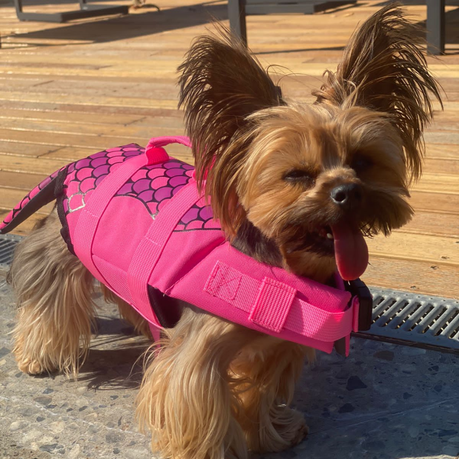 Mermaid life jacket dog best sale