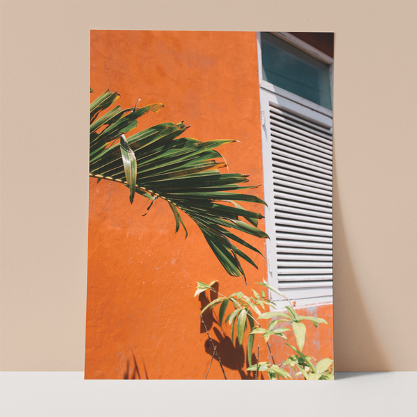 Orange Wall and Palm Wall Print
