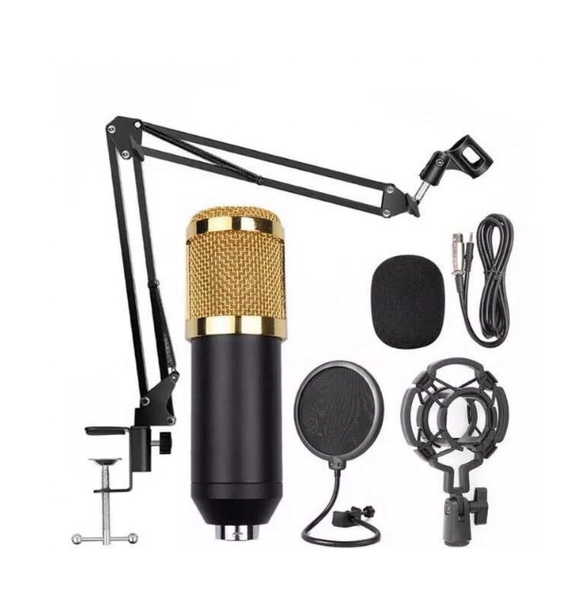 Professional Uni-directional Condenser Microphone