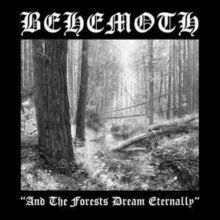 And the Forests Dream Eternally (CD / Album)