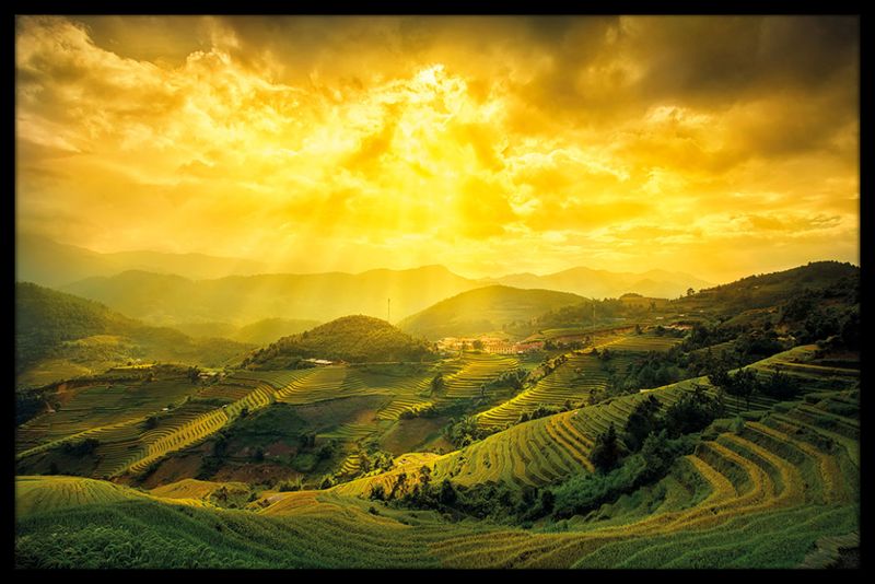 Rice Fields Of Yen Bai Poster with Black Frame