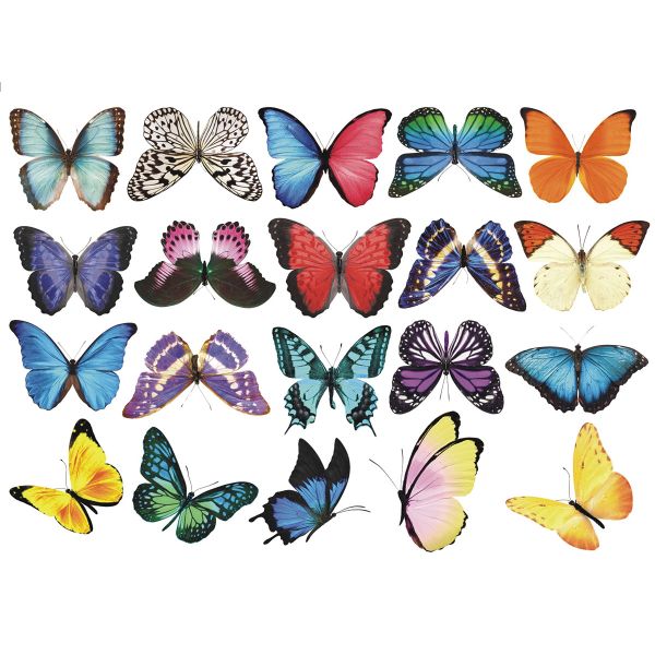 MeiView Window Decals (Not Stickers) - Butterfly Decal (Set 1)
