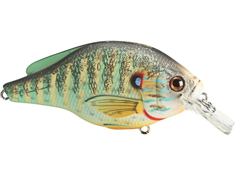Live Target - Sunfish Squarebill- Pumpkinseed - S-70mm