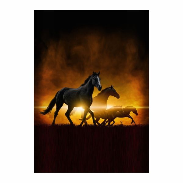Horses And Sunset - A1 Poster