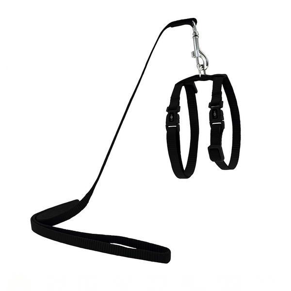 Adjustable Nylon Collar with Safety Buckle - Black DOCO