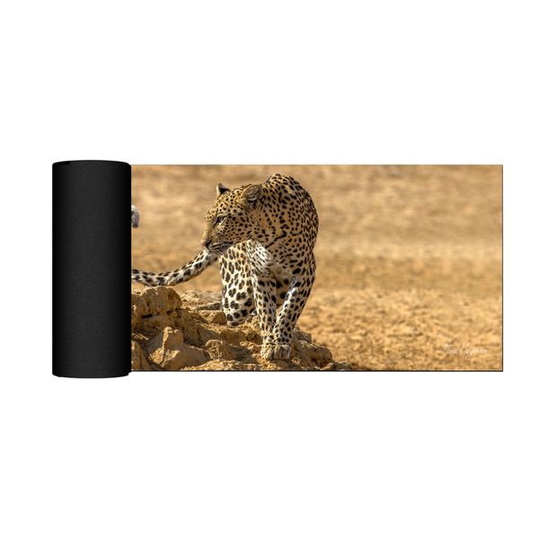 Leopard Kgalagadi Desk Pad by Fanie Heymans