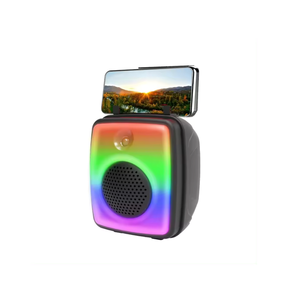 LS-1016 portable speaker