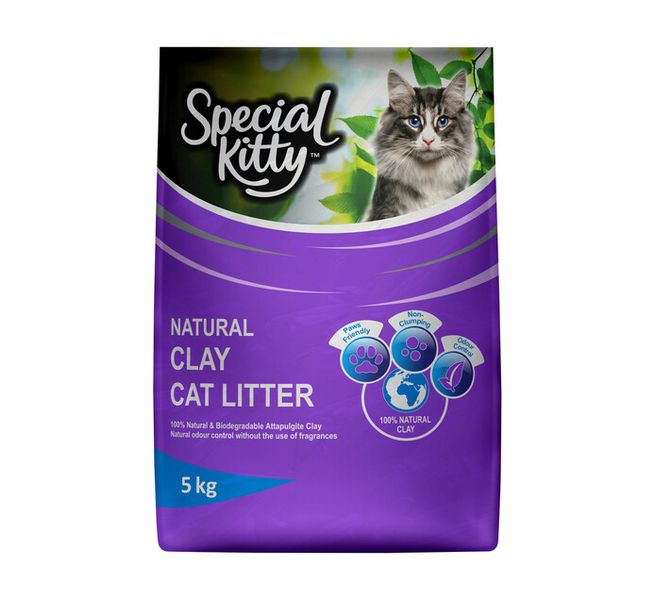 Special Kitty logo