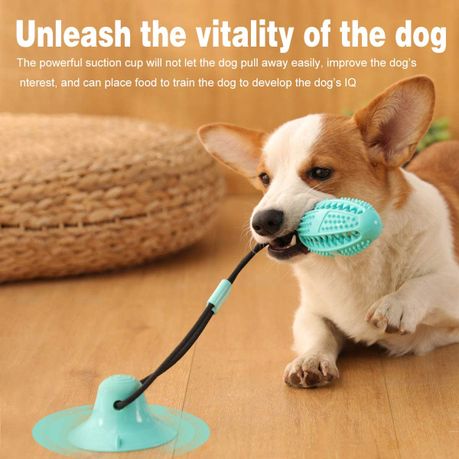 Dog toy suction outlet cup