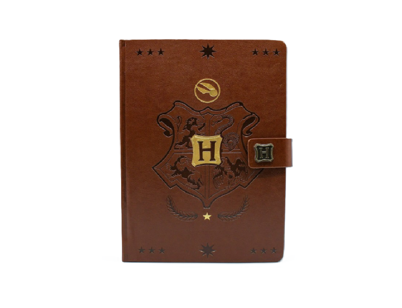 Harry Potter - Quidditch Champion And House A5 Premium Notebook