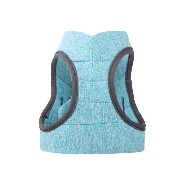 Cat Leash Pet Chest Harness Leash, Size: M(Sky Blue)