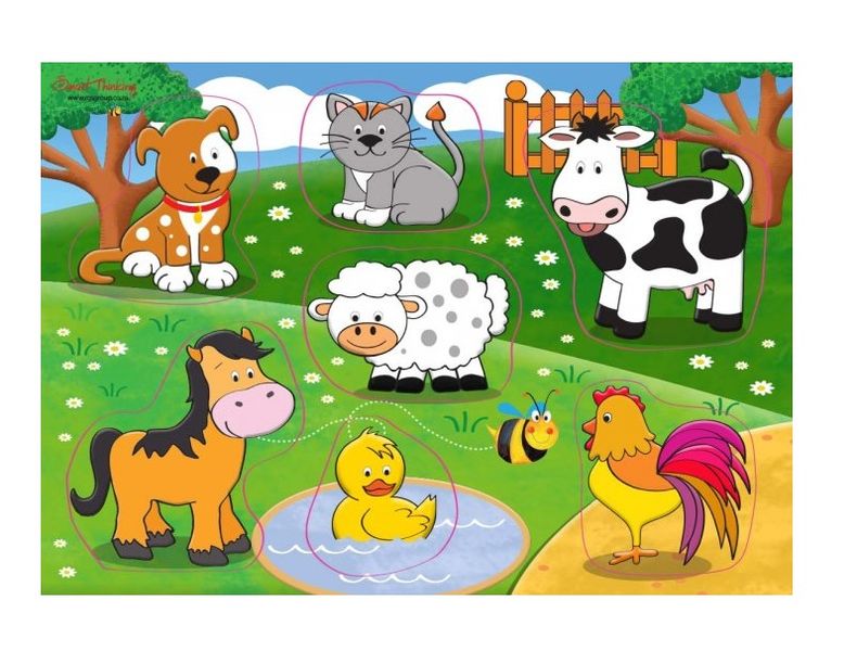 RGS Group Farm Chunky Puzzle