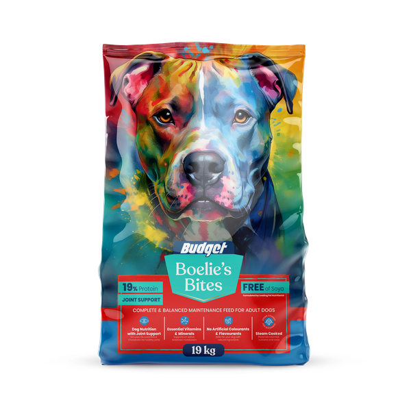 Boelie's Bites Budget Adult 19kg