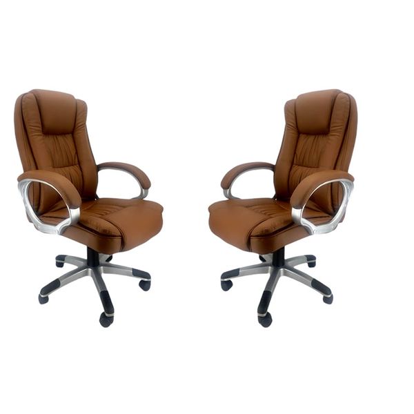 Set of 2 Executive Leather Office Chairs
