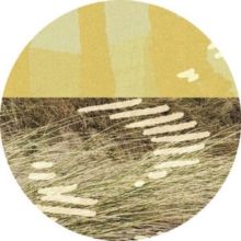 Terrapin (Vinyl / 12" EP)