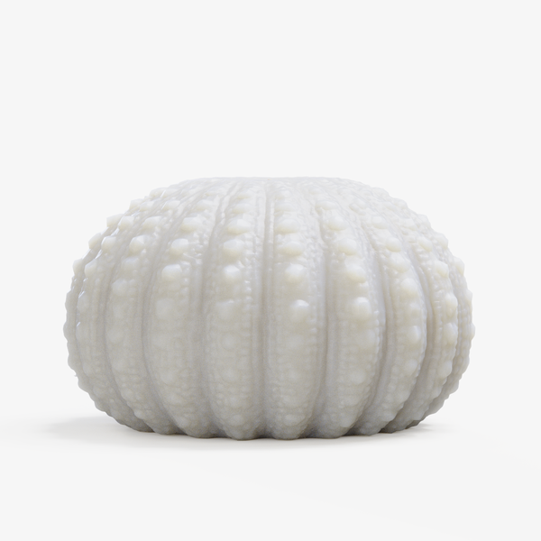 Pumpkin Shell Candle