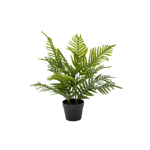 H-60 cm Exquisite Palm Plant In Pot