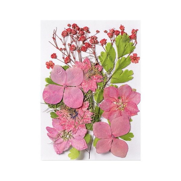 Pressed Dried Flowers, Style 8.7