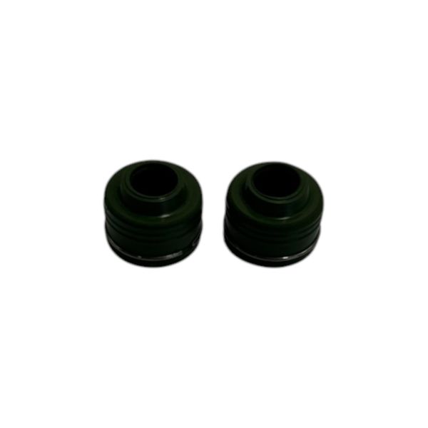 Hero Eco 150 Valve Seals