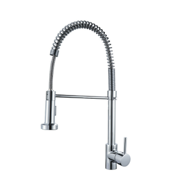 Kitchen Faucet with Pull Down Sprayer