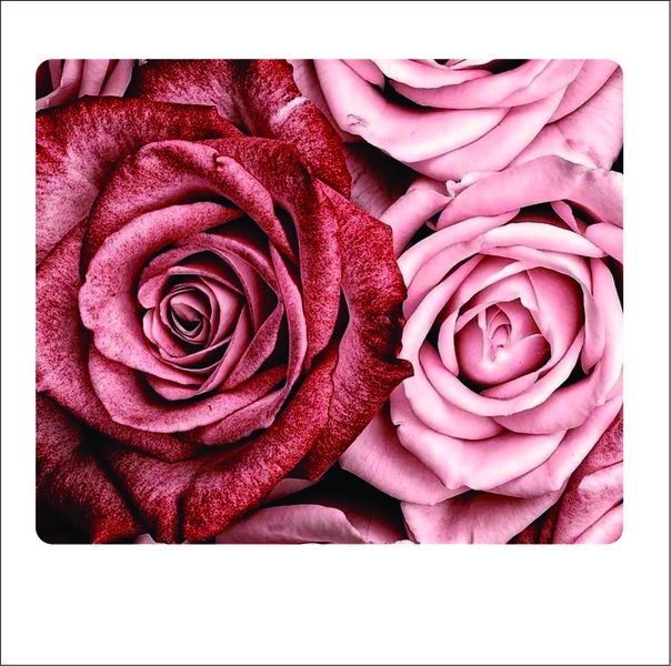 Pink Roses Mouse Pad