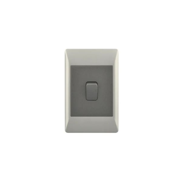Modern Champagne 1 Lever 2 Way Light Switch