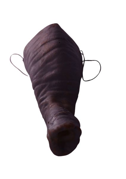 Latex Elephant Nose x2