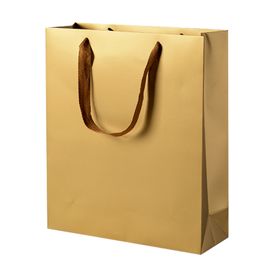 Premium Paper Gift Bags (12 Pack) -L(28x10x33cm) | Shop Today. Get it ...