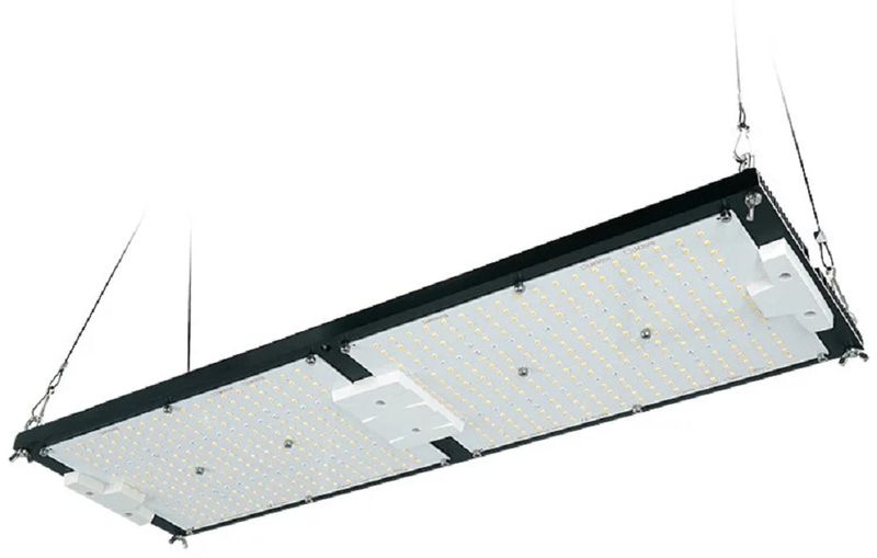 Kingbrite Grow Lights 240