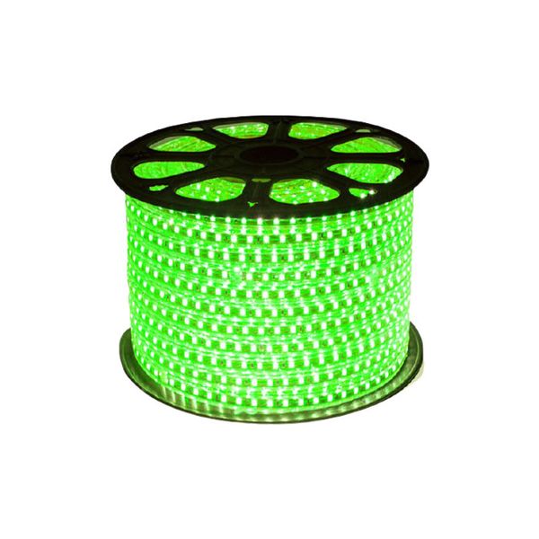 100M Green Strip Light 220V
