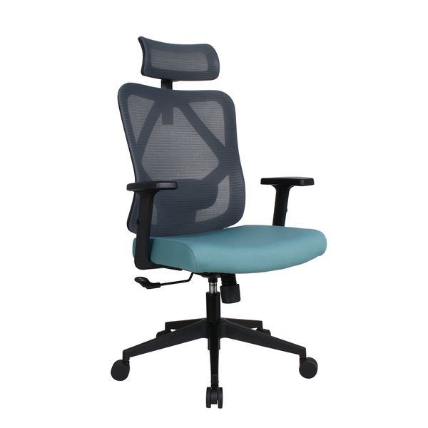 Novogracz Office BOGARD Ergonomic Mesh Chair - PERSIAN GREEN with Grey Mesh