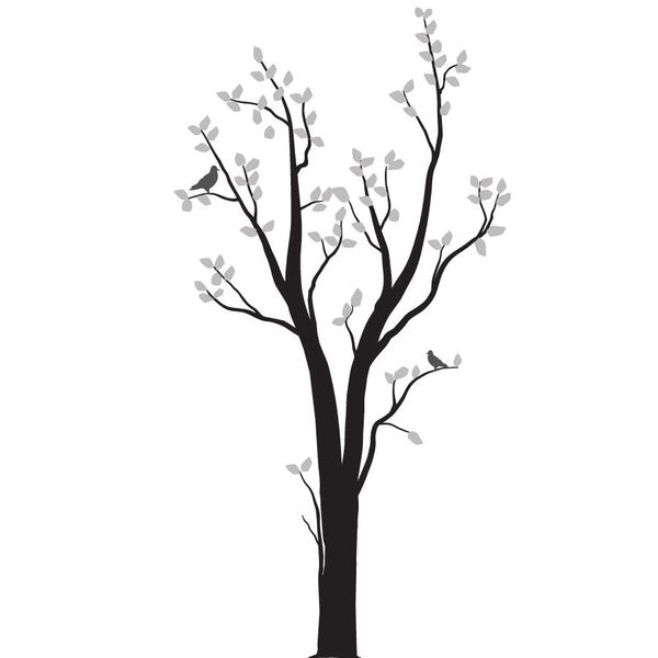 Black &amp; Silver image