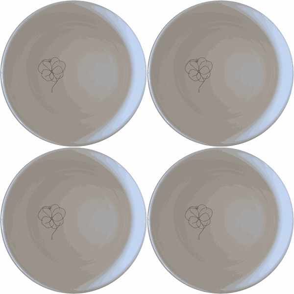 Hoya Carnosa Bowl Set of 4 - Range 1