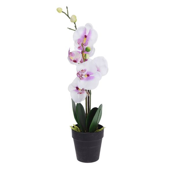 Orchid Plant Artificial in Pot