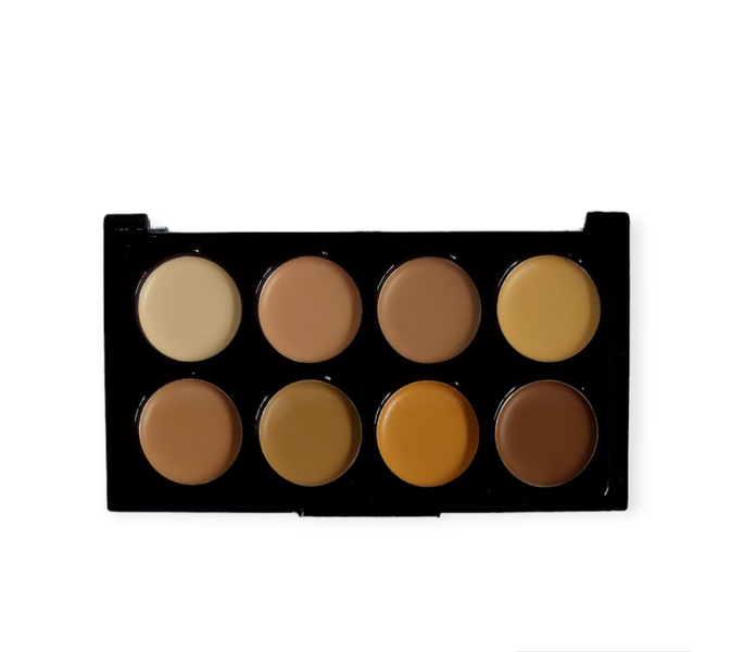 8 Colour Portable Professional Concealer &amp; Contour Palette