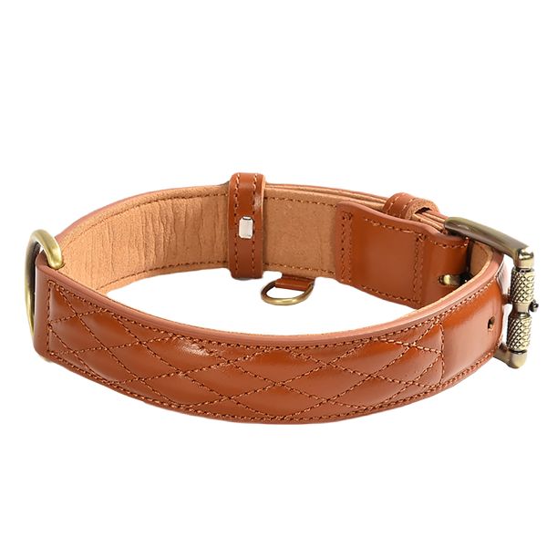 Luxury Genuine Leather Pet Collar - M