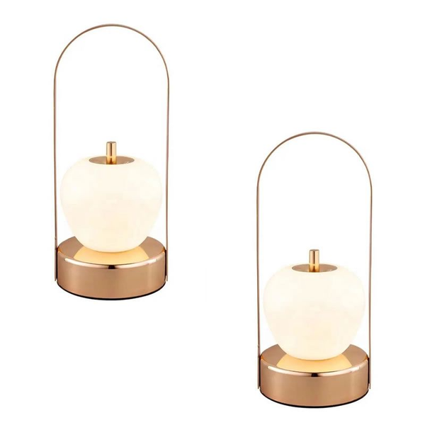 Set of 2 LED Rechargeable Touch Dimming Art Desk Lamp E10-8-7