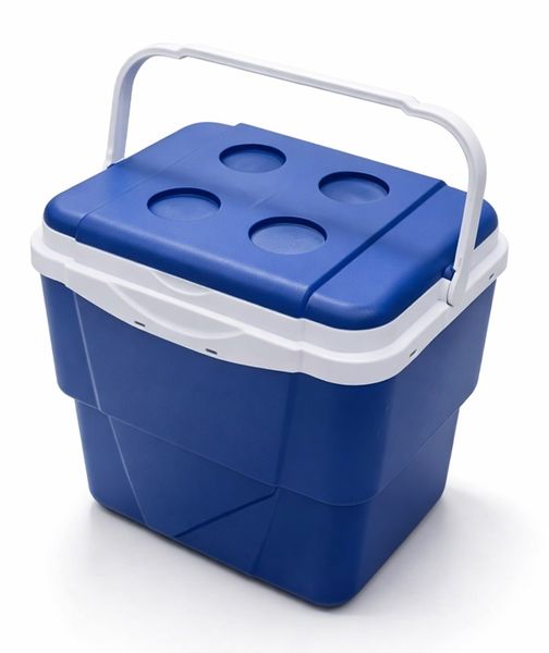 Camping Indoor Outdoor 26L Cooler Box