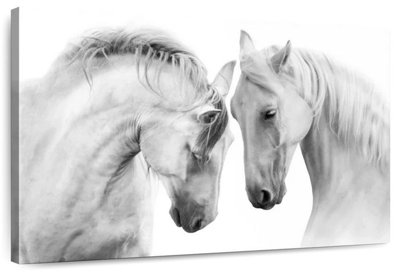 Canvas Art - White Horse Couple Canvas Wall Art Living Bedroom Decor