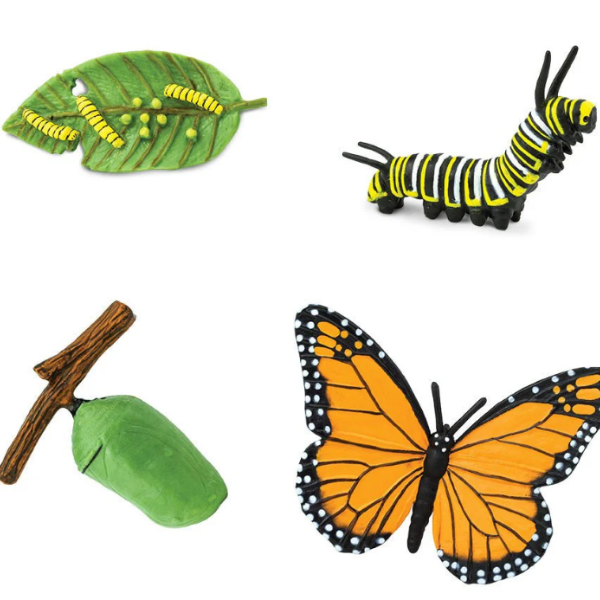 Safari Ltd Life Cycle of a Monarch Butterfly