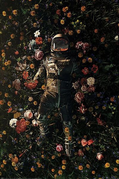 Nicebleed - Astronaut (Garden Delights) Poster