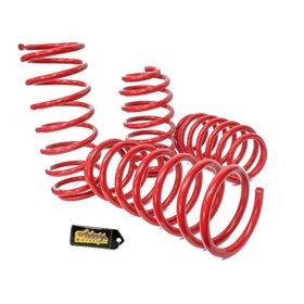 AST Suspension Lowering Springs (40mm/40mm) - 1997-2003 Toyota Avensis 1.6/1.8 (T22) main image 0