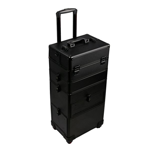Professional Makeup Trolley Case for Artists