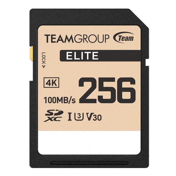 TeamGroup ELITE 256GB SDXC UHS-I U3 V30| Memory Card |Read 100 MB/s