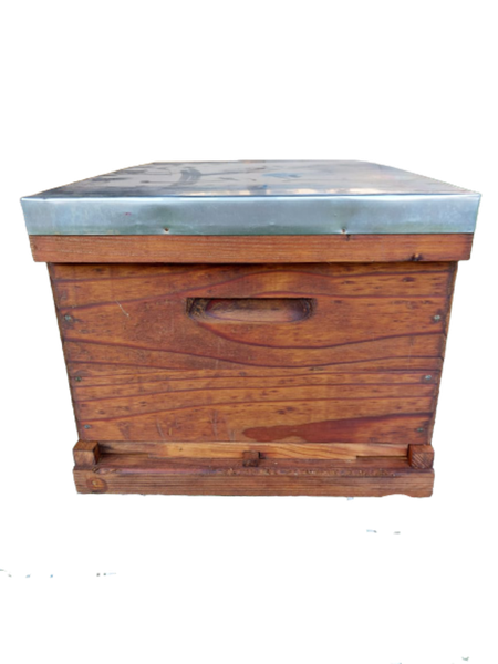 Beehive - Brood Chamber (10 Frames)