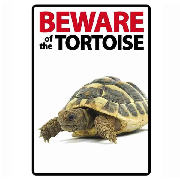 Beware of the Tortoise