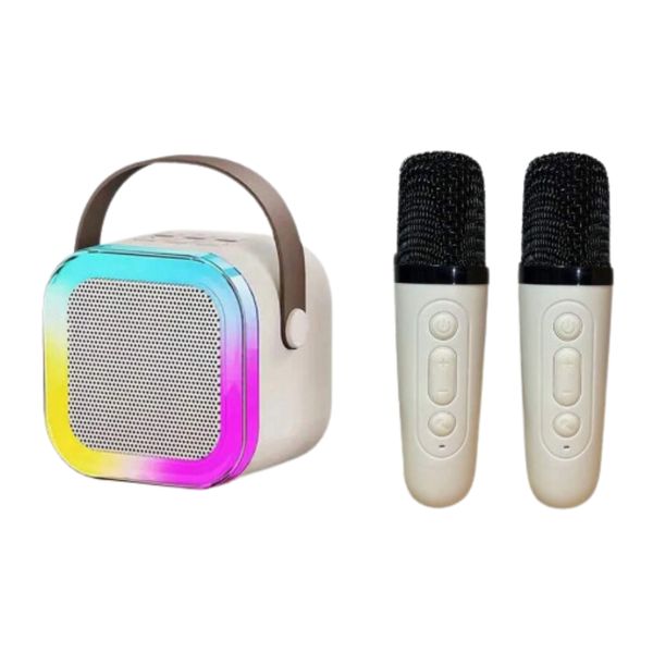 Portable rechargeable karaoke system with two mics