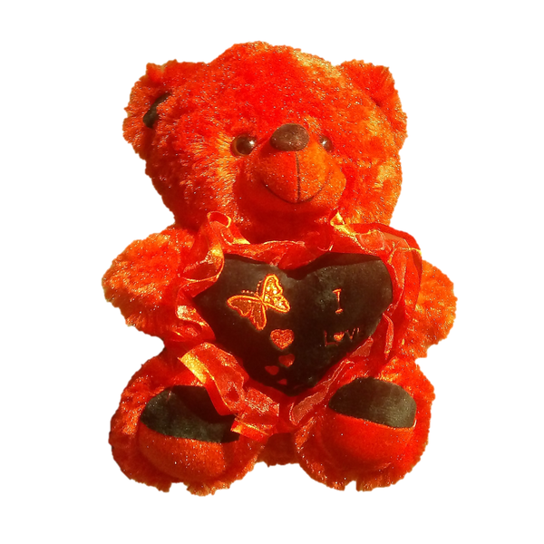 I love you Teddy Bear